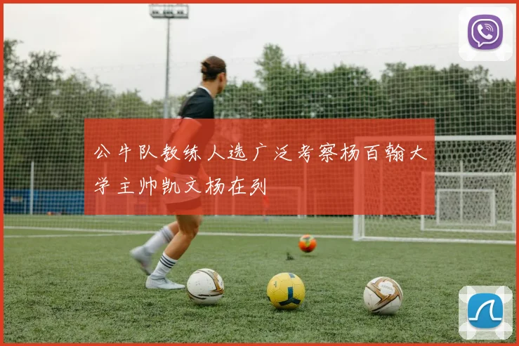 公牛队教练人选广泛考察杨百翰大学主帅凯文杨在列